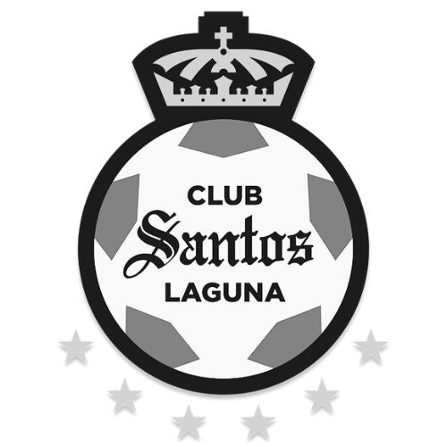 carousel logo 11