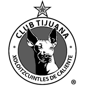 Marca 4